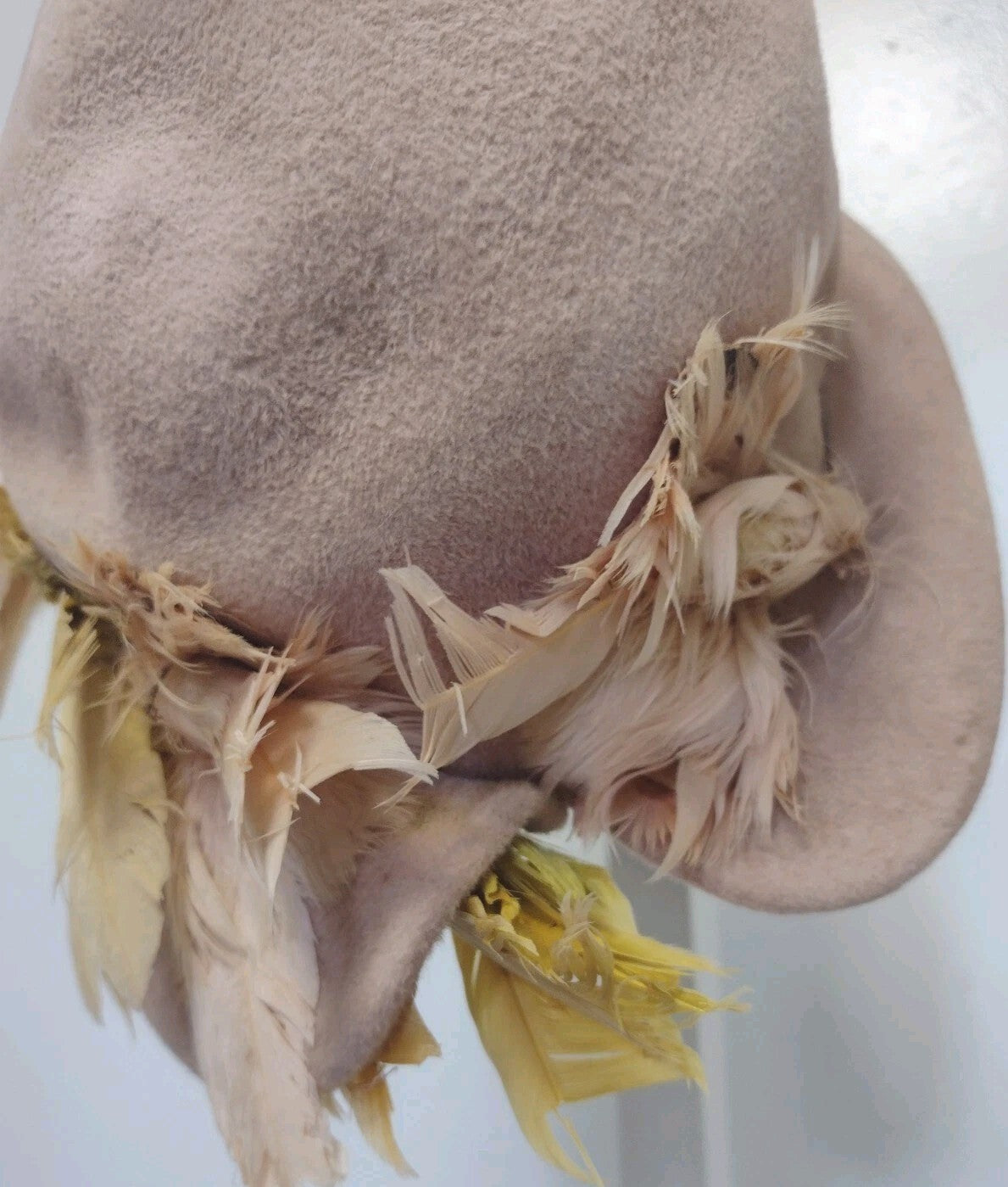 Vintage 1920s 1930s Custom Cloche Hat Velour Felt Feather Art Deco Flapper
