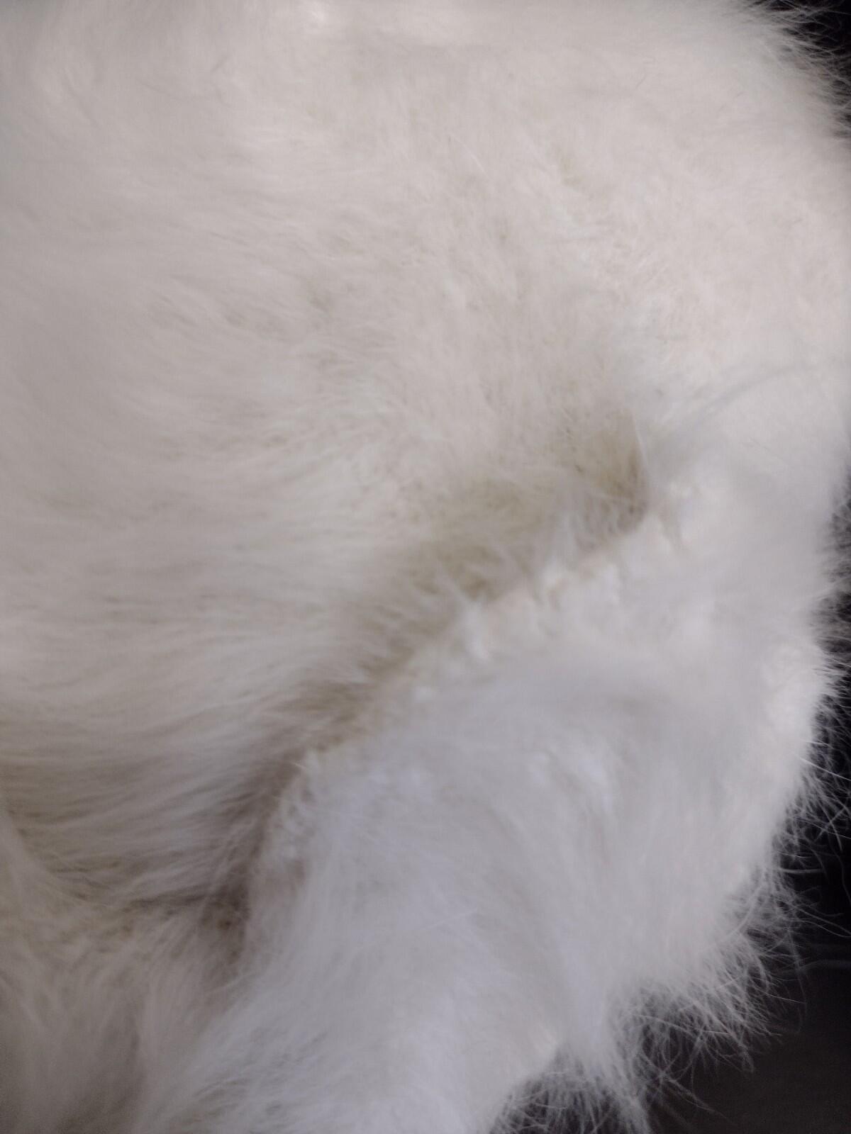 Adora Angora Blend White Fuzzy Hat Wired Brim Flower Detail One Size Excellent