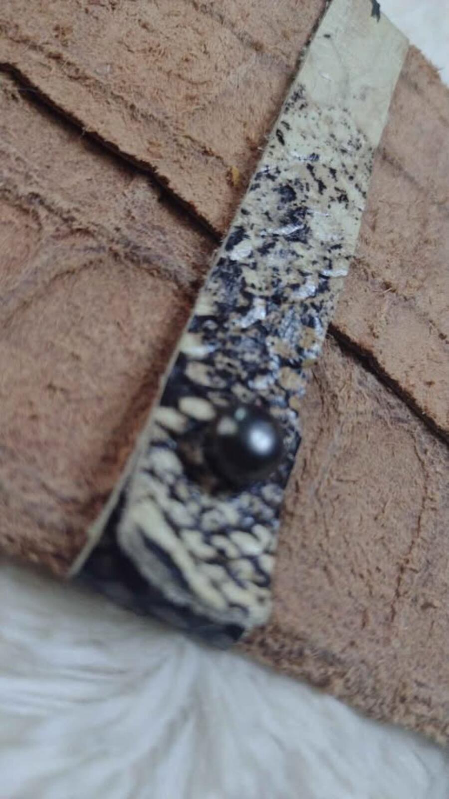 Handmade artisan croc snake embossed suede wallet new