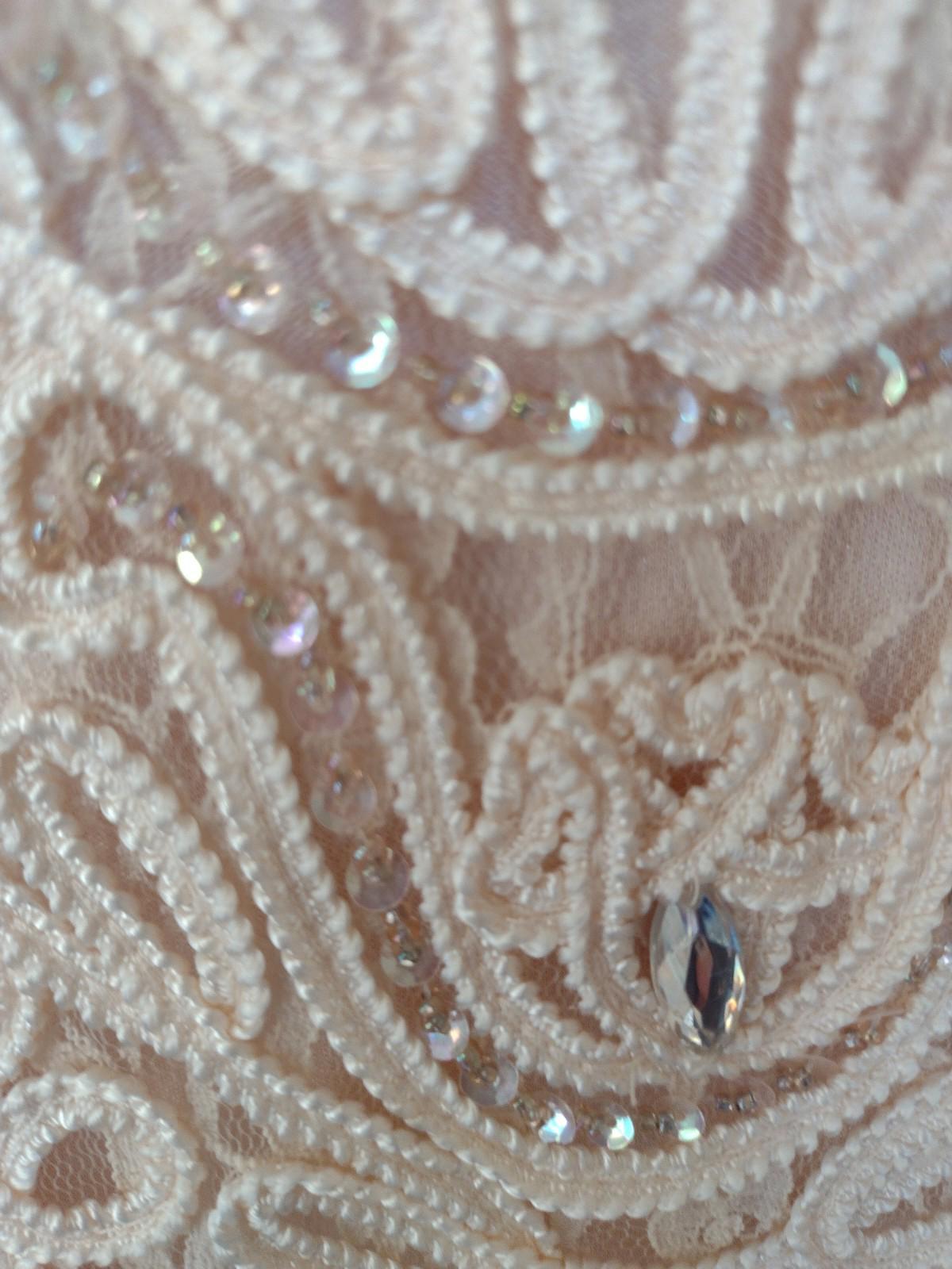 Sue Wong Nocturne Champagne Beaded Lace Embroidered Cocktail Dress Sz 8