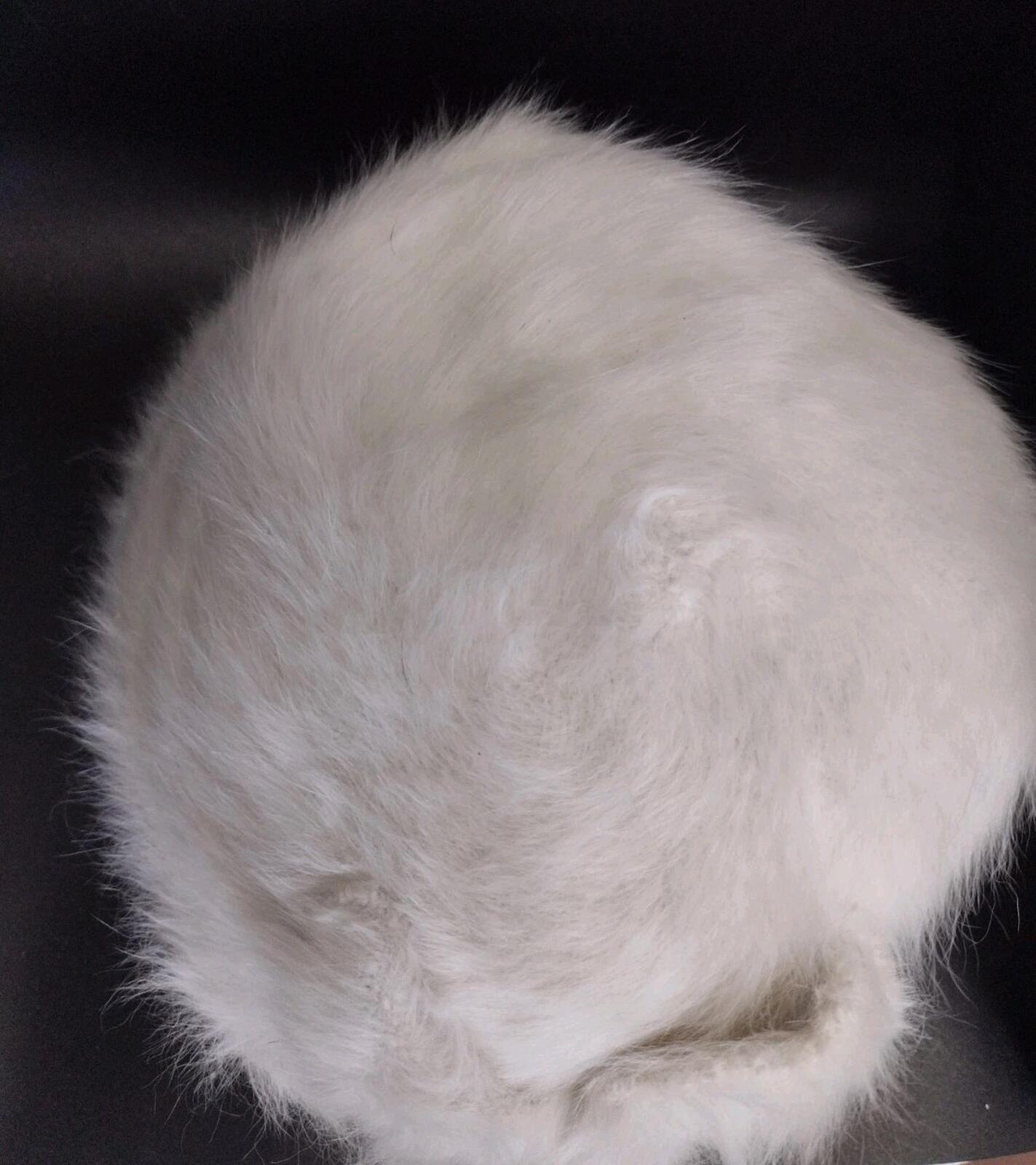 Adora Angora Blend White Fuzzy Hat Wired Brim Flower Detail One Size Excellent